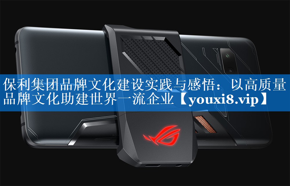 保利集团品牌文化建设实践与感悟：以高质量品牌文化助建世界一流企业