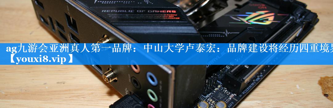 中山大学卢泰宏：品牌建设将经历四重境界