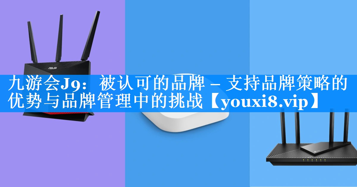 被认可的品牌 – 支持品牌策略的优势与品牌管理中的挑战