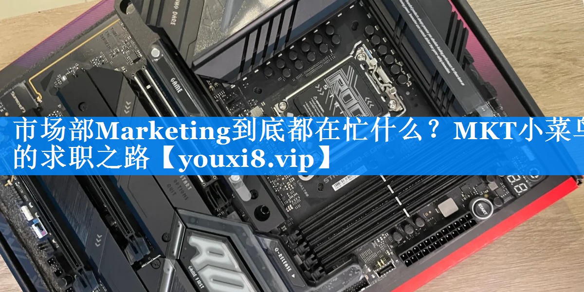 市场部Marketing到底都在忙什么？MKT小菜鸟的求职之路