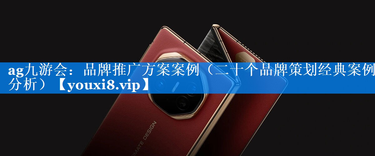 品牌推广方案案例（二十个品牌策划经典案例分析）
