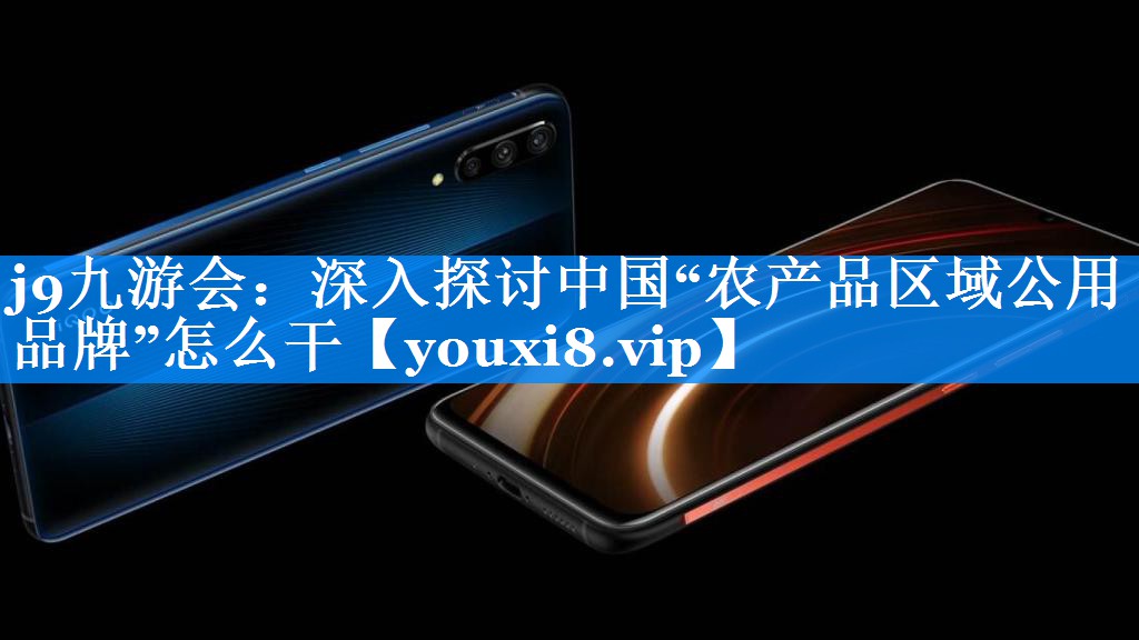 深入探讨中国“农产品区域公用品牌”怎么干