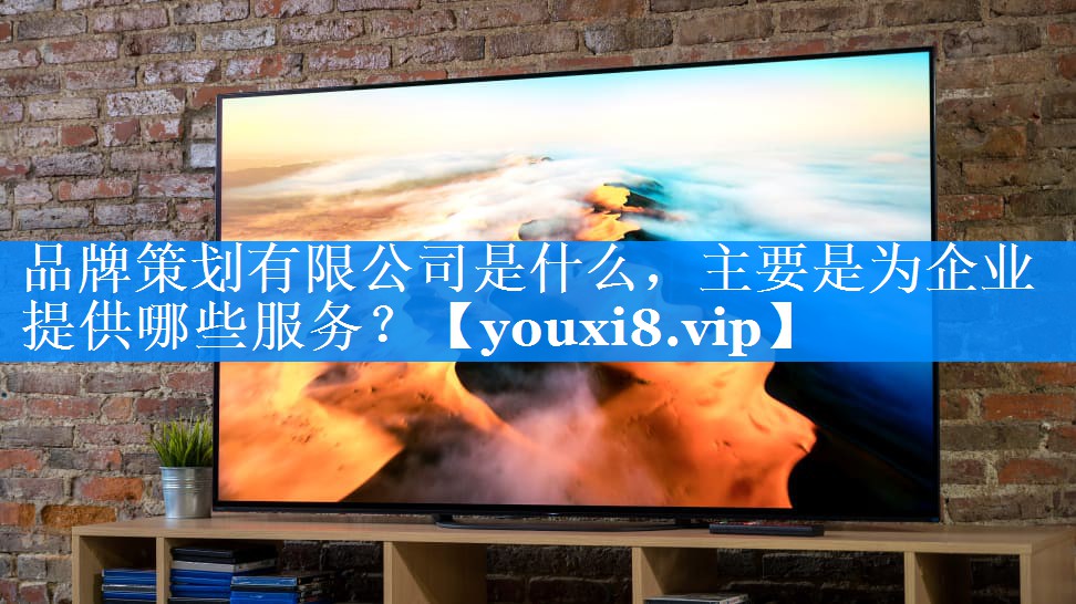 品牌策划有限公司是什么，主要是为企业提供哪些服务？
