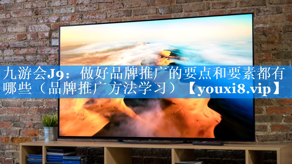做好品牌推广的要点和要素都有哪些（品牌推广方法学习）