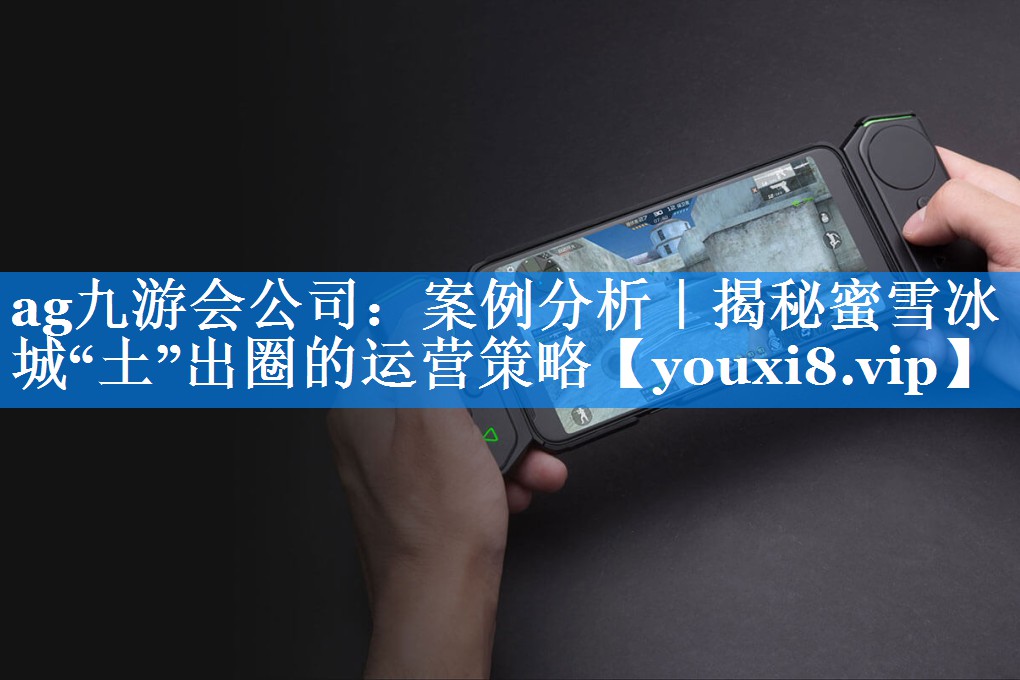 案例分析｜揭秘蜜雪冰城“土”出圈的运营策略